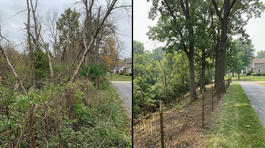 Result tree service in Peoria - Peoria Tree Service
